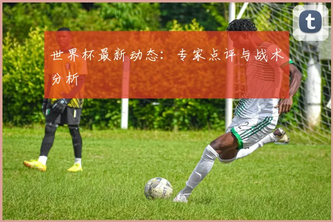 世界杯最新动态:专家点评与战术分析