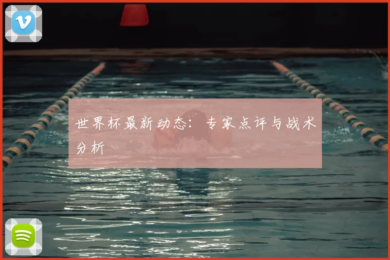 世界杯最新动态:专家点评与战术分析