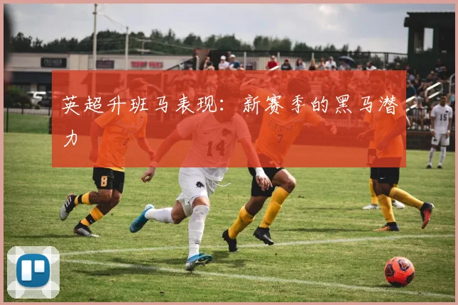 英超升班马表现：新赛季的黑马潜力
