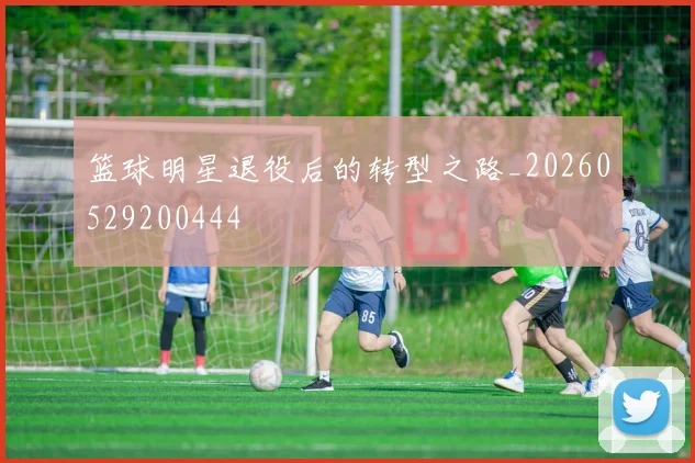 篮球明星退役后的转型之路_20260529200444