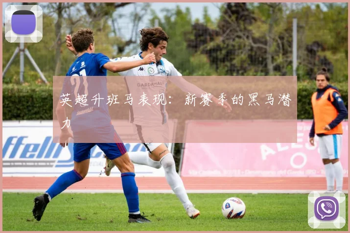 英超升班马表现:新赛季的黑马潜力